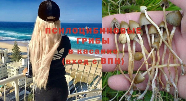 винт Кулебаки