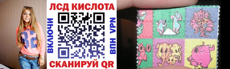 Марки NBOMe 1500мкг  Купить  Кяхта 